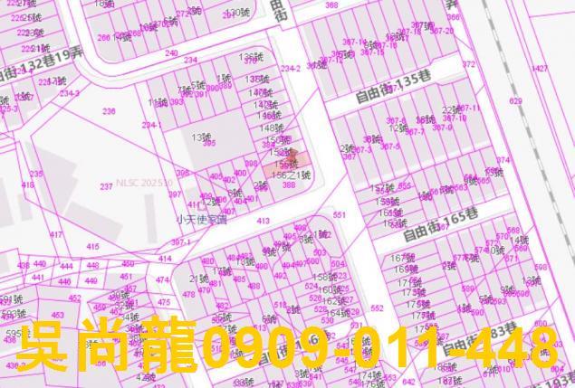 路竹法拍透天-2