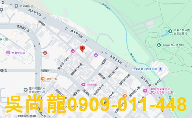 台東台東市法拍華廈-1