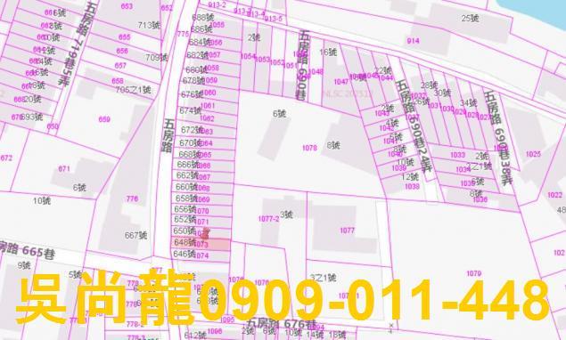 新園法拍透天-2