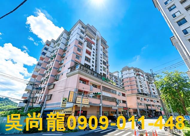 南投埔里法拍華廈-2