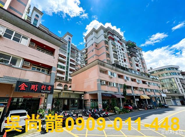 南投埔里法拍華廈-4